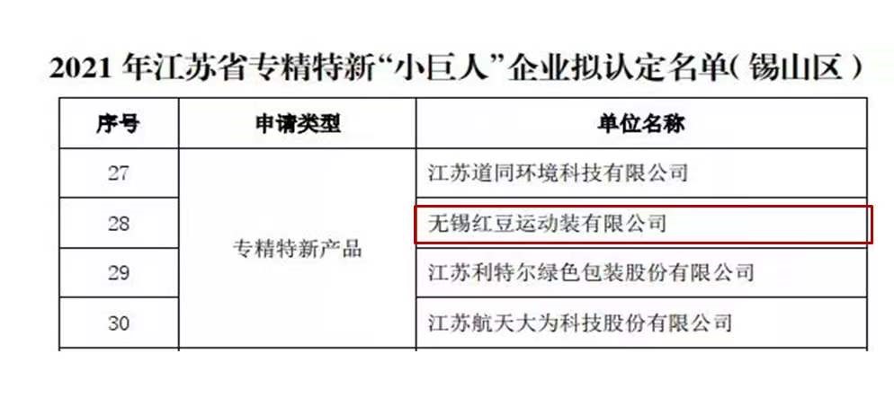 ayx爱游戏运动装2